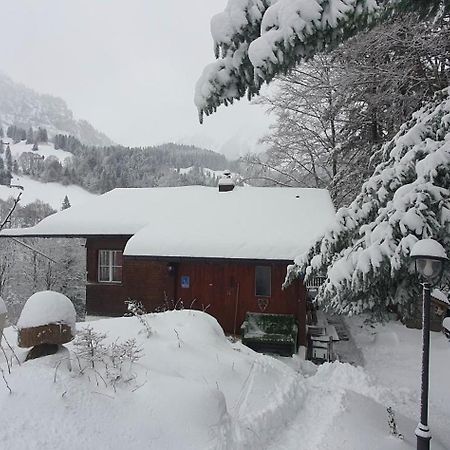 Tannenboden Apartman Engelberg Kültér fotó