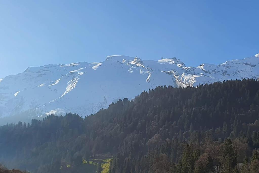 Tannenboden Apartman Engelberg Kültér fotó