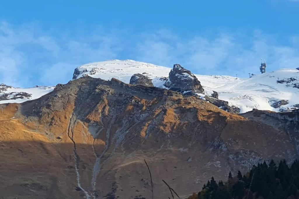 Tannenboden Apartman Engelberg Kültér fotó