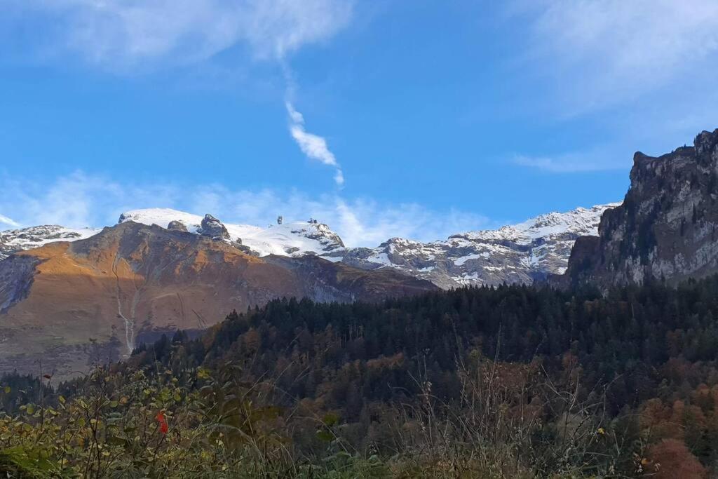 Tannenboden Apartman Engelberg Kültér fotó