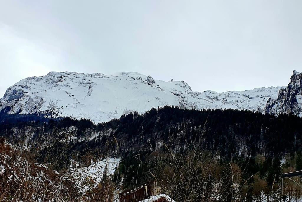 Tannenboden Apartman Engelberg Kültér fotó